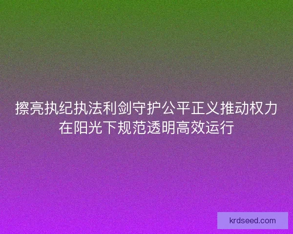 擦亮执纪执法利剑守护公平正义推动权力在阳光下规范透明高效运行
